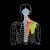 respiratory-design