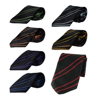 Phoenix Collegiate School Uniform House Ties