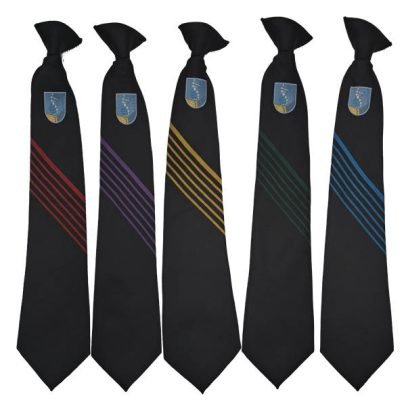 Shireland Biomedical UTC School Ties
