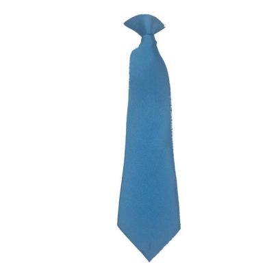 Wallbrook Primary Academy School Unisex Ties