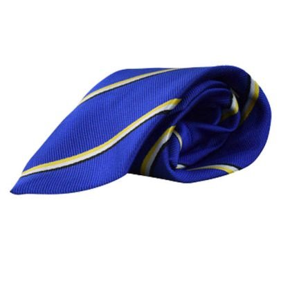 Wodensborough Ormiston Academy Unisex Ties